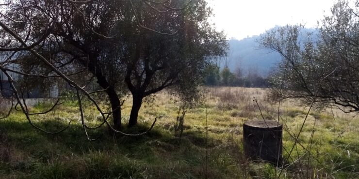Veroli. Castelmassimo abitazioni e terreno