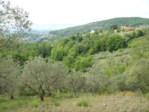 Veroli. Terreno con rudere.