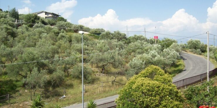 Complesso immobiliare.Abitazione e locali commerciali